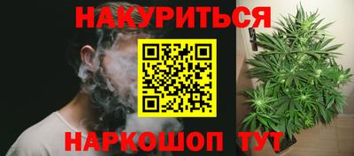 гидропоника Будённовск