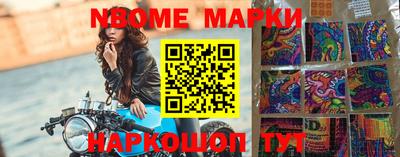 гидропоника Будённовск