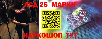 гидропоника Будённовск