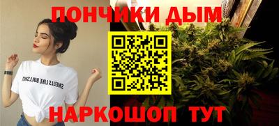 гидропоника Будённовск