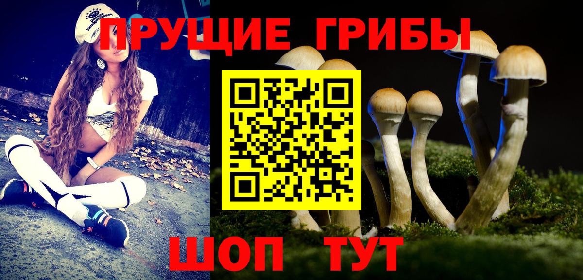 Галлюциногенные грибы Magic Shrooms  Вход с VPN  Удомля 