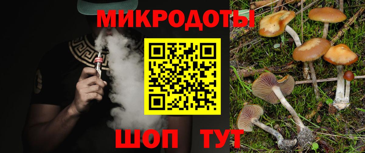 Галлюциногенные грибы Magic Shrooms Удомля